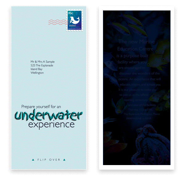 fluid envelope