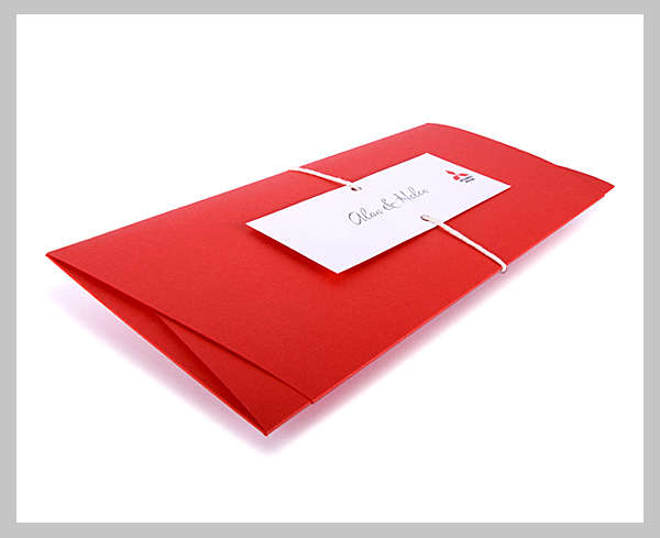 fluid envelope